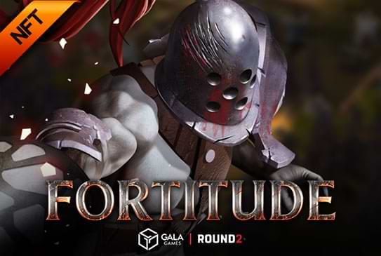 Fortitude UI/UX/Promotion